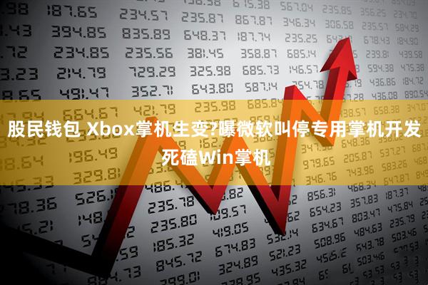股民钱包 Xbox掌机生变?曝微软叫停专用掌机开发 死磕Win掌机