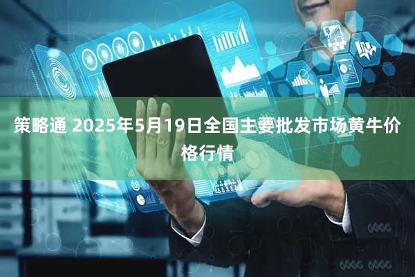 策略通 2025年5月19日全国主要批发市场黄牛价格行情