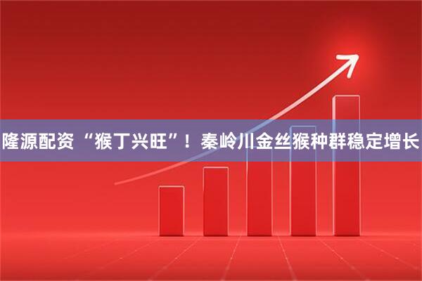 隆源配资 “猴丁兴旺”！秦岭川金丝猴种群稳定增长