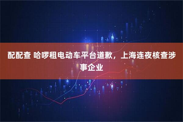 配配查 哈啰租电动车平台道歉，上海连夜核查涉事企业